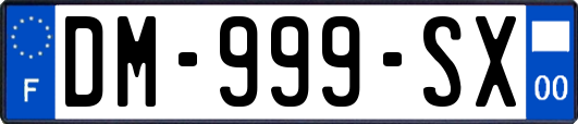 DM-999-SX