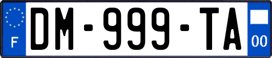 DM-999-TA