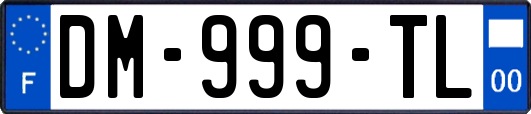 DM-999-TL