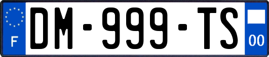 DM-999-TS