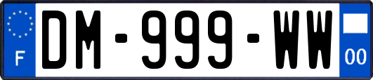 DM-999-WW