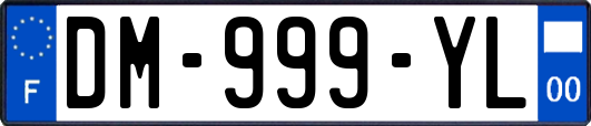 DM-999-YL