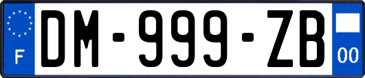 DM-999-ZB