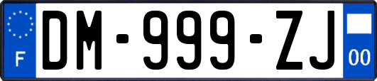 DM-999-ZJ