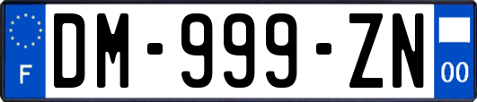 DM-999-ZN