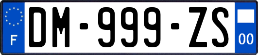 DM-999-ZS