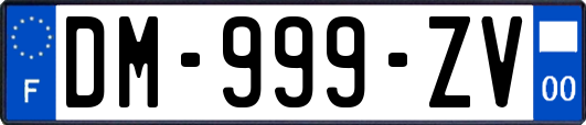 DM-999-ZV