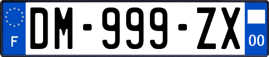 DM-999-ZX