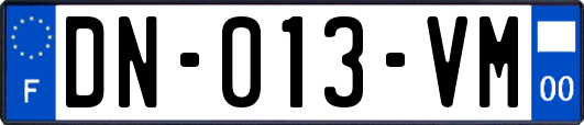 DN-013-VM