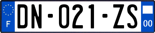 DN-021-ZS