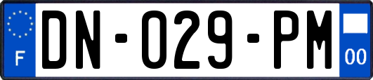 DN-029-PM