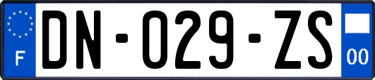 DN-029-ZS