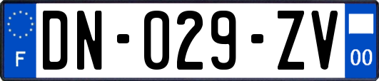 DN-029-ZV
