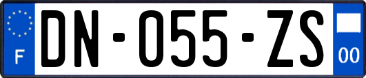 DN-055-ZS