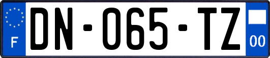 DN-065-TZ