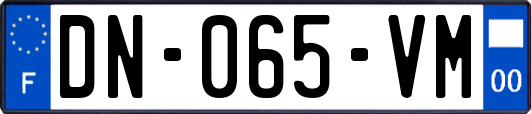 DN-065-VM