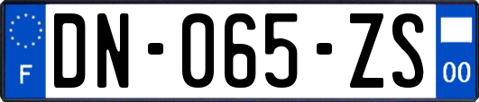 DN-065-ZS