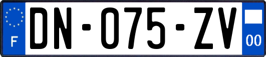 DN-075-ZV