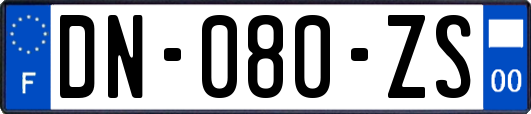 DN-080-ZS