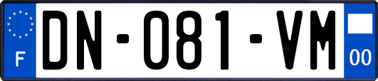 DN-081-VM