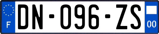 DN-096-ZS