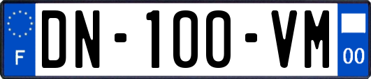 DN-100-VM