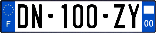 DN-100-ZY