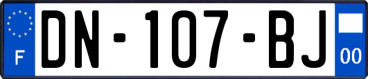 DN-107-BJ