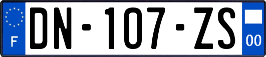 DN-107-ZS