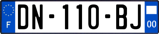 DN-110-BJ