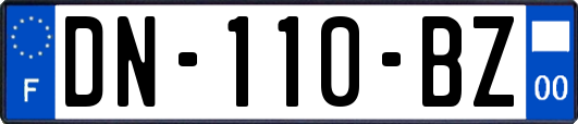 DN-110-BZ