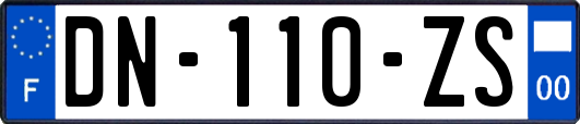 DN-110-ZS