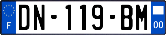 DN-119-BM