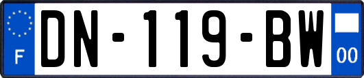 DN-119-BW