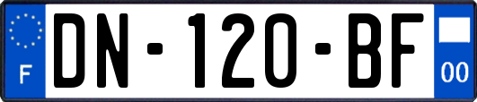 DN-120-BF