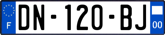 DN-120-BJ