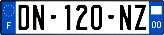 DN-120-NZ