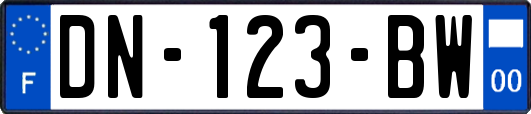 DN-123-BW