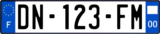 DN-123-FM