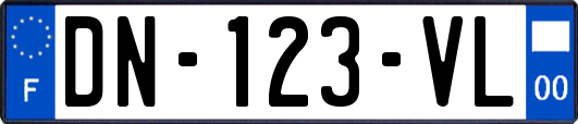 DN-123-VL