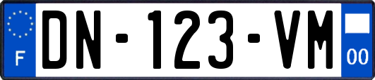 DN-123-VM