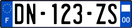 DN-123-ZS