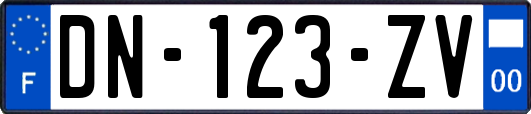 DN-123-ZV