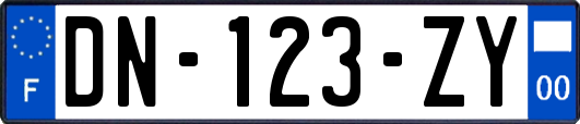 DN-123-ZY