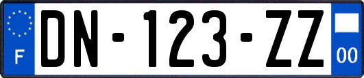 DN-123-ZZ