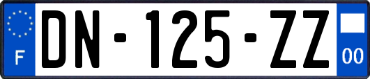 DN-125-ZZ