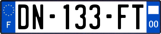 DN-133-FT