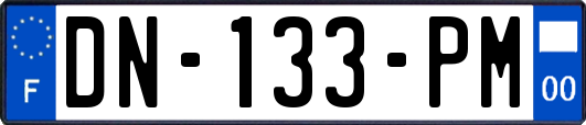 DN-133-PM