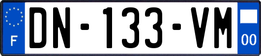 DN-133-VM