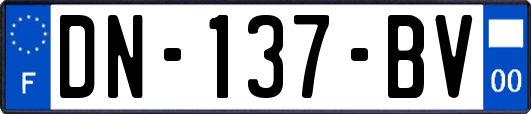 DN-137-BV